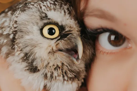 Casino AllStar Slots Kundeservice